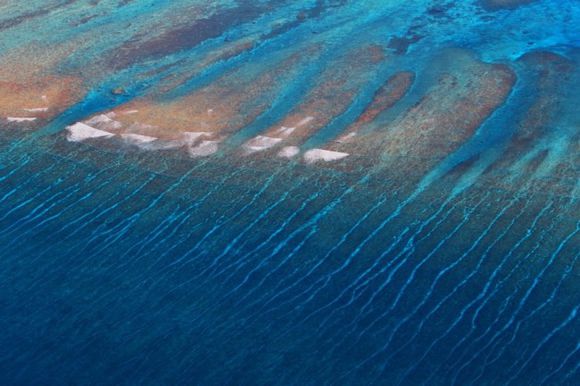 西沙群岛的珊瑚礁盘2.jpg